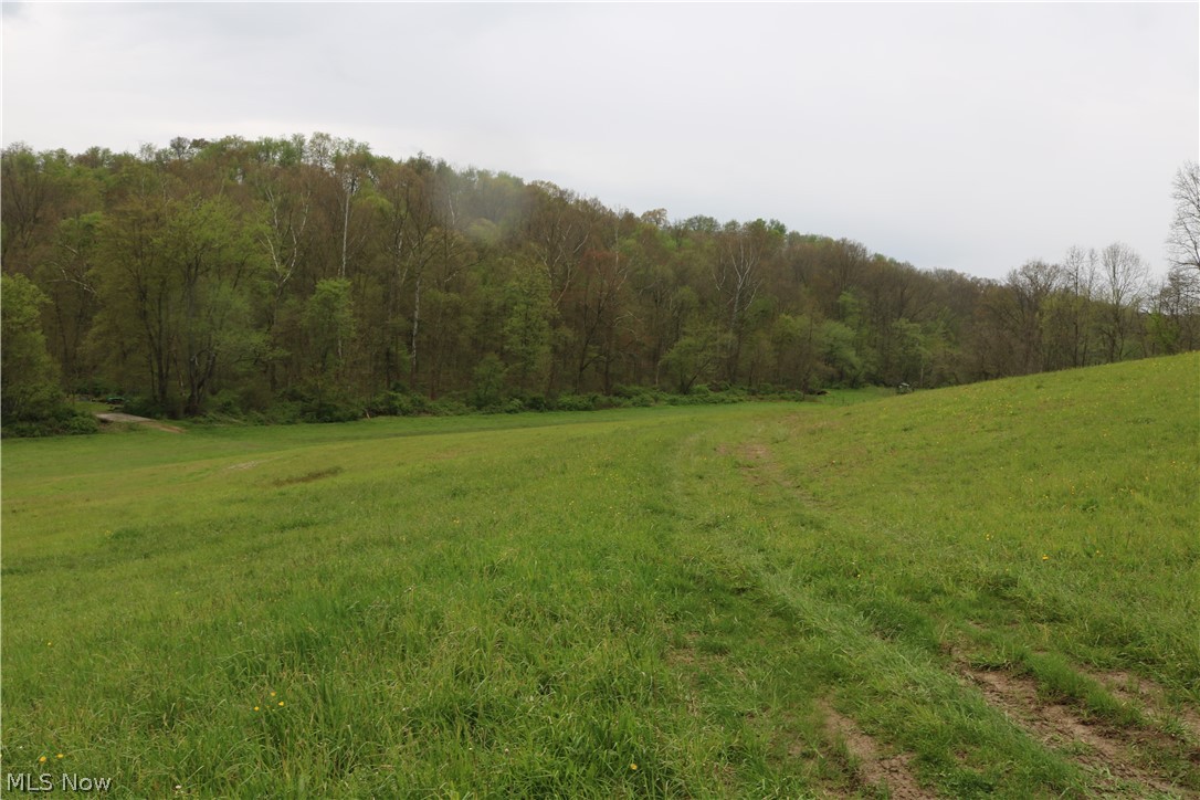 245 Township Road Newcomerstown, OH 43832 - Photo 8 of 8 Gallery Image 8