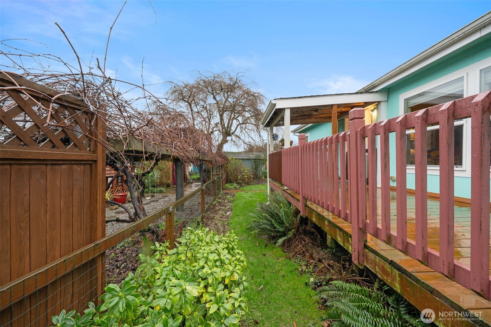 1913 7th Street Sedro-Woolley, WA 98284 - Photo 22 of 28 a backyard of a house with lots of green space