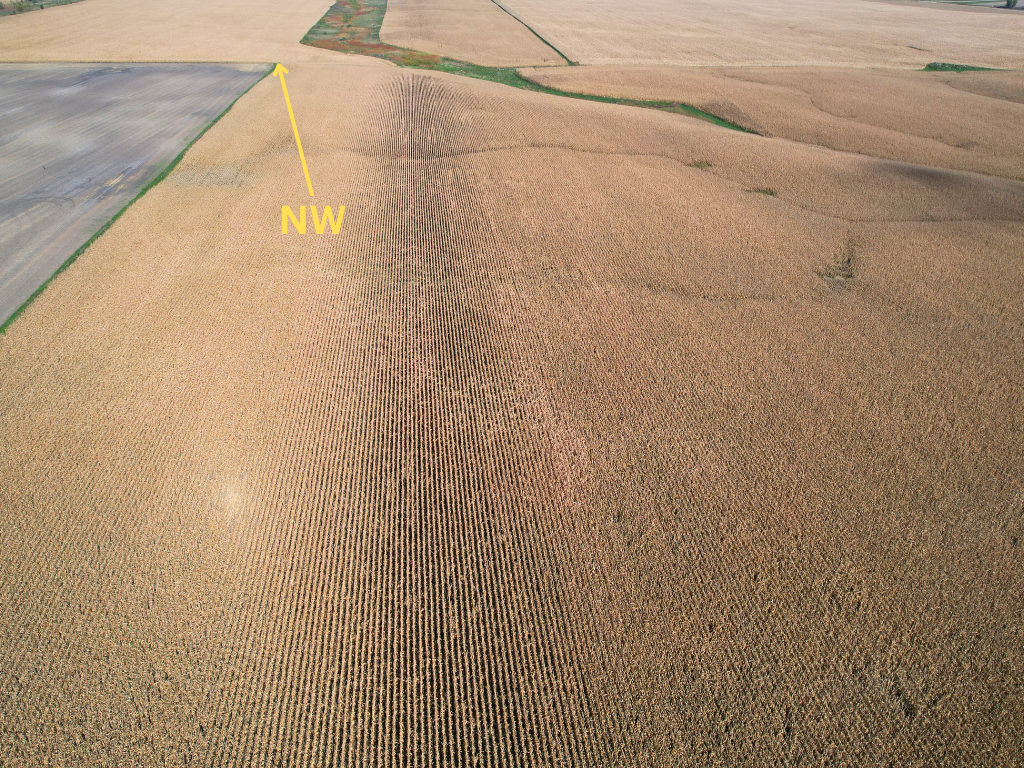 12 Southwest Appleton Mn 56208 Appleton, MN 56208 - Photo 11 of 21