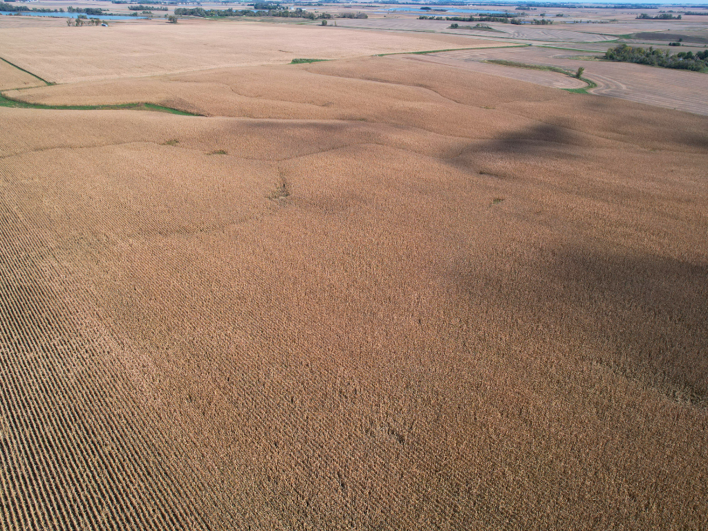 12 Southwest Appleton Mn 56208 Appleton, MN 56208 - Photo 13 of 19