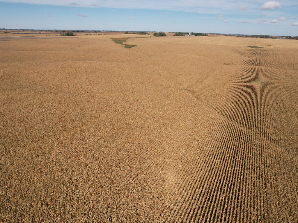 12 Southwest Appleton Mn 56208 Appleton, MN 56208 - Photo 13 of 21