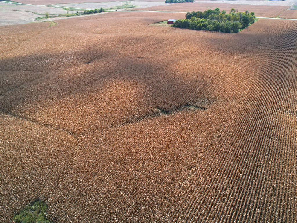 12 Southwest Appleton Mn 56208 Appleton, MN 56208 - Photo 14 of 19