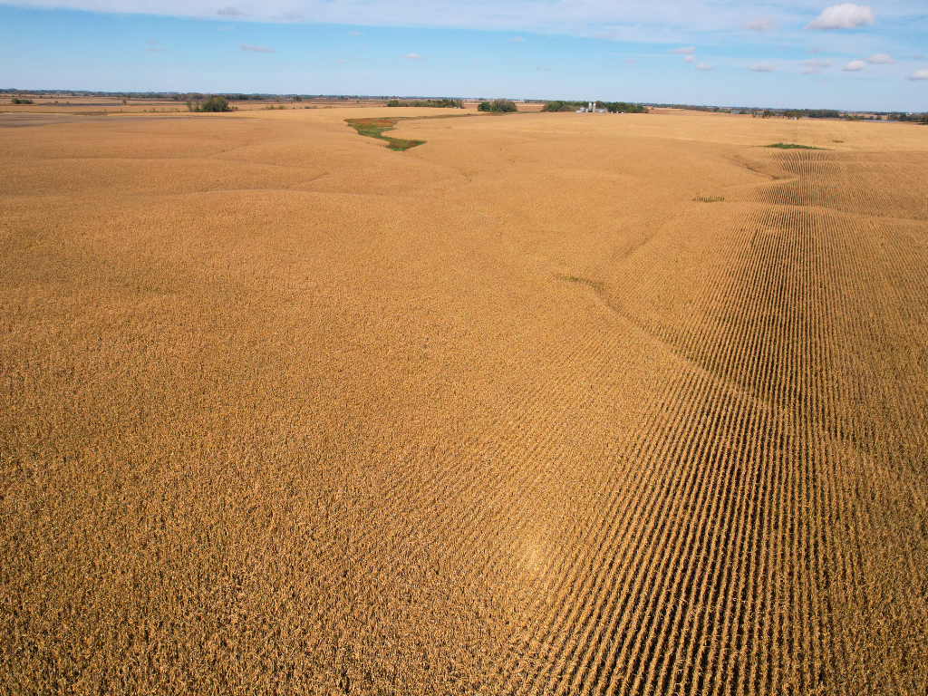 12 Southwest Appleton Mn 56208 Appleton, MN 56208 - Photo 17 of 19