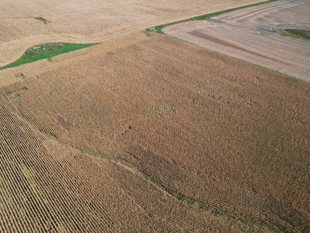 12 Southwest Appleton Mn 56208 Appleton, MN 56208 - Photo 18 of 19