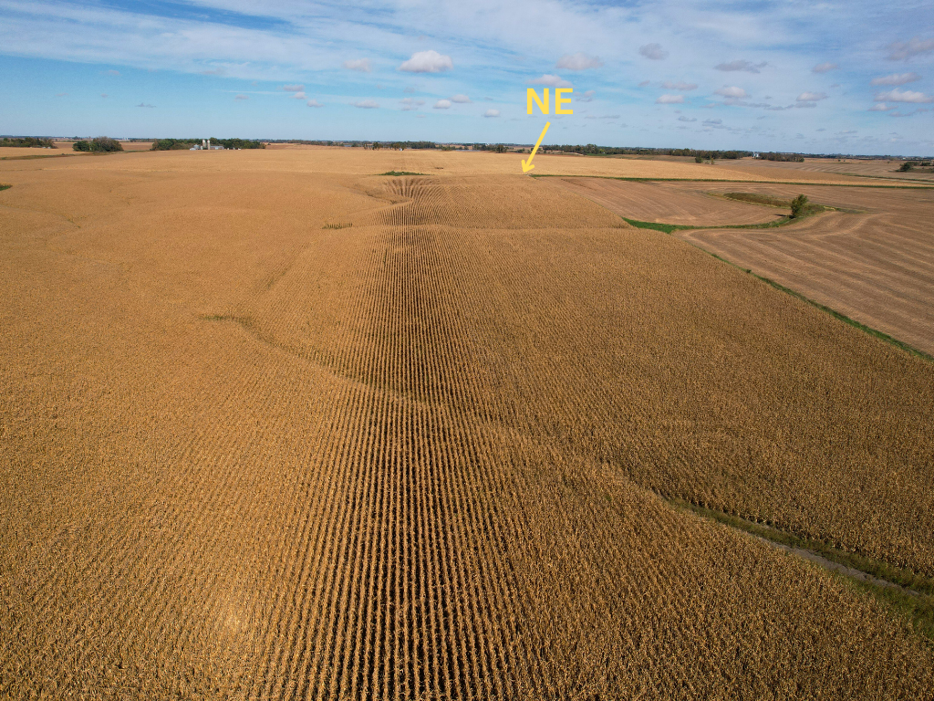 12 Southwest Appleton Mn 56208 Appleton, MN 56208 - Photo 7 of 19