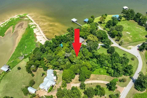 a view of a flower in a garden