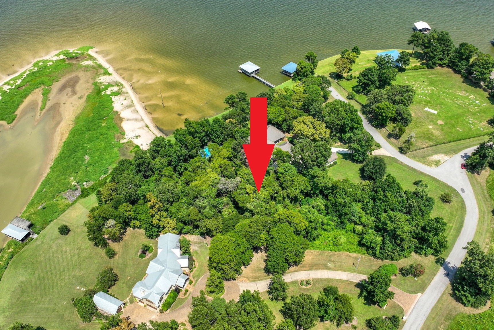 Tbd Harrell Cemetery Road Coldspring, TX 77331 - Photo 11 of 15 a view of a flower in a garden