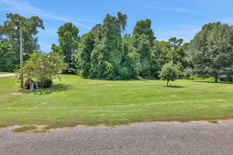 a view of a park with large trees