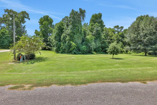 a view of a park with large trees