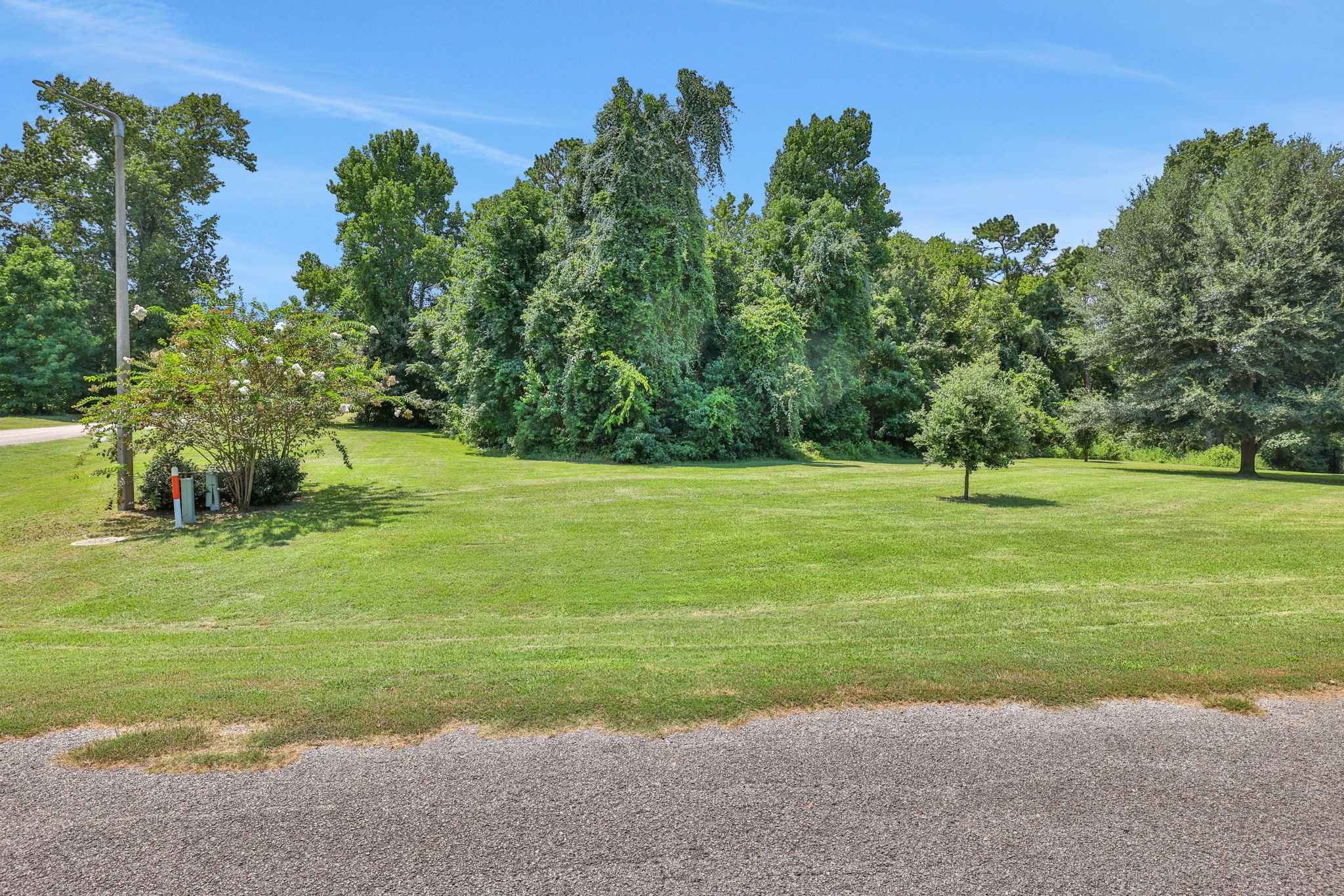 Tbd Harrell Cemetery Road Coldspring, TX 77331 - Photo 13 of 15 a view of a park with large trees