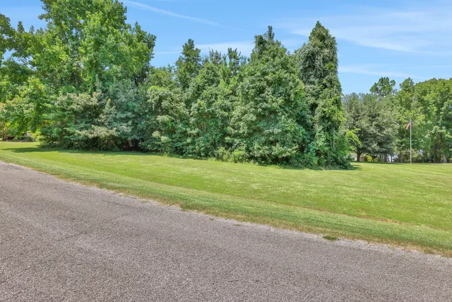a view of a big yard with plants and large trees