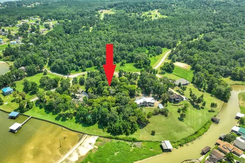 a view of a garden with swimming pool