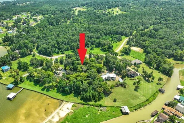 a view of a garden with swimming pool
