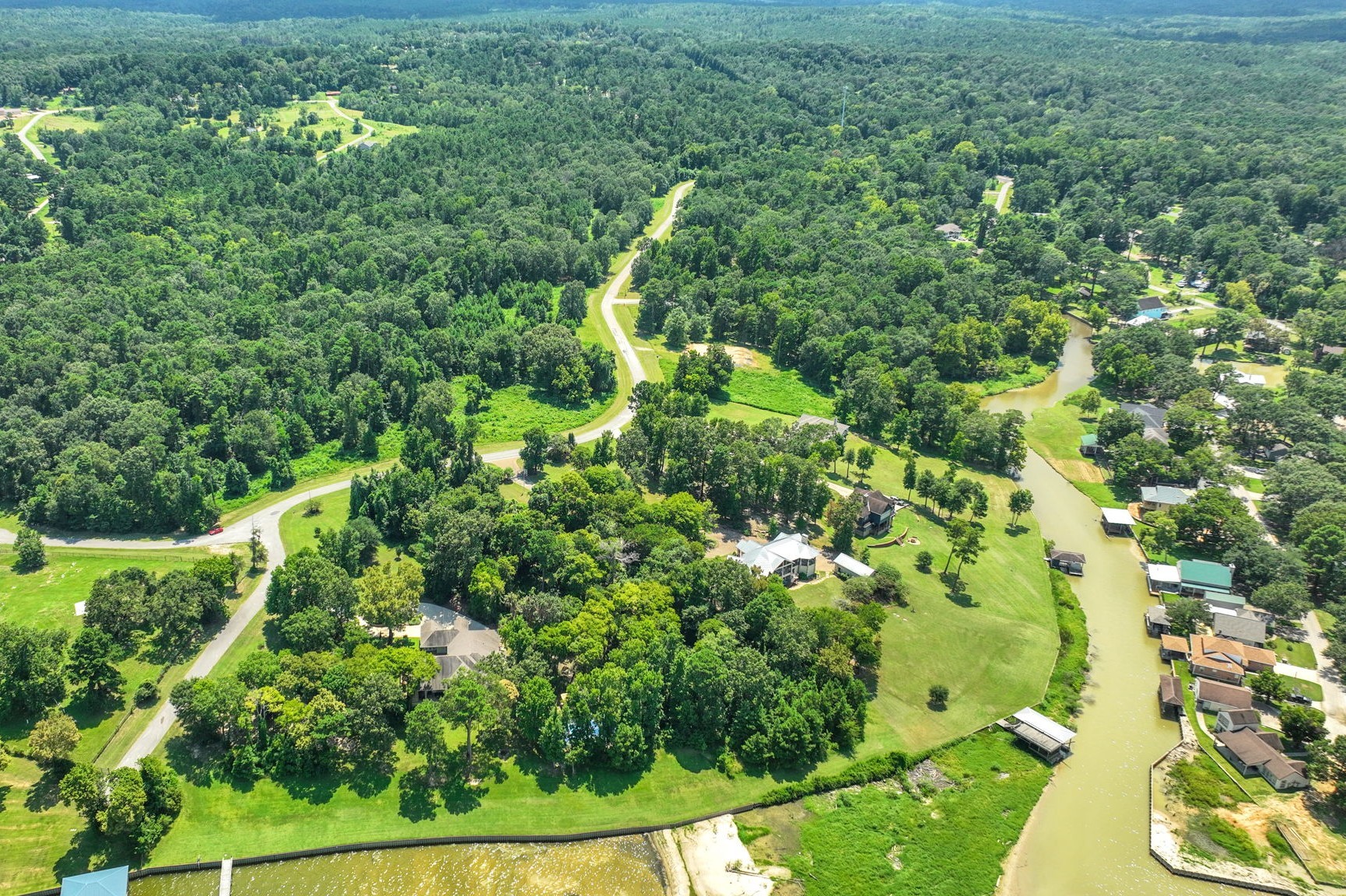 Tbd Harrell Cemetery Road Coldspring, TX 77331 - Photo 9 of 15 a view of a yard with plants
