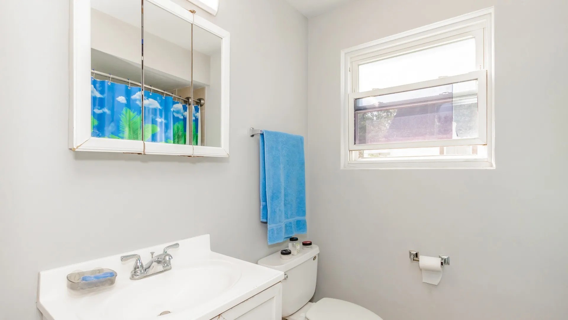 5141 South Carpenter Street Chicago, IL 60609 - Photo 15 of 23 a bathroom with a sink and a mirror