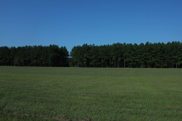 0 Davis-Bennett Road Millen, GA 30442 - Photo 1 of 1 Main View