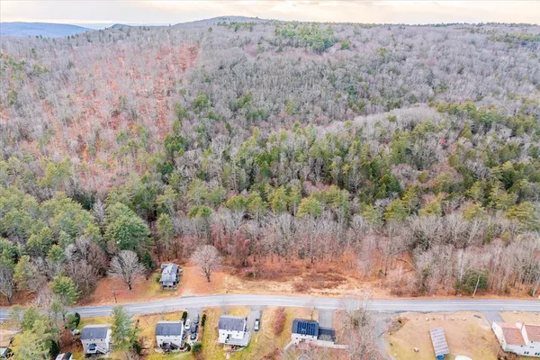 a view of a yard with trees