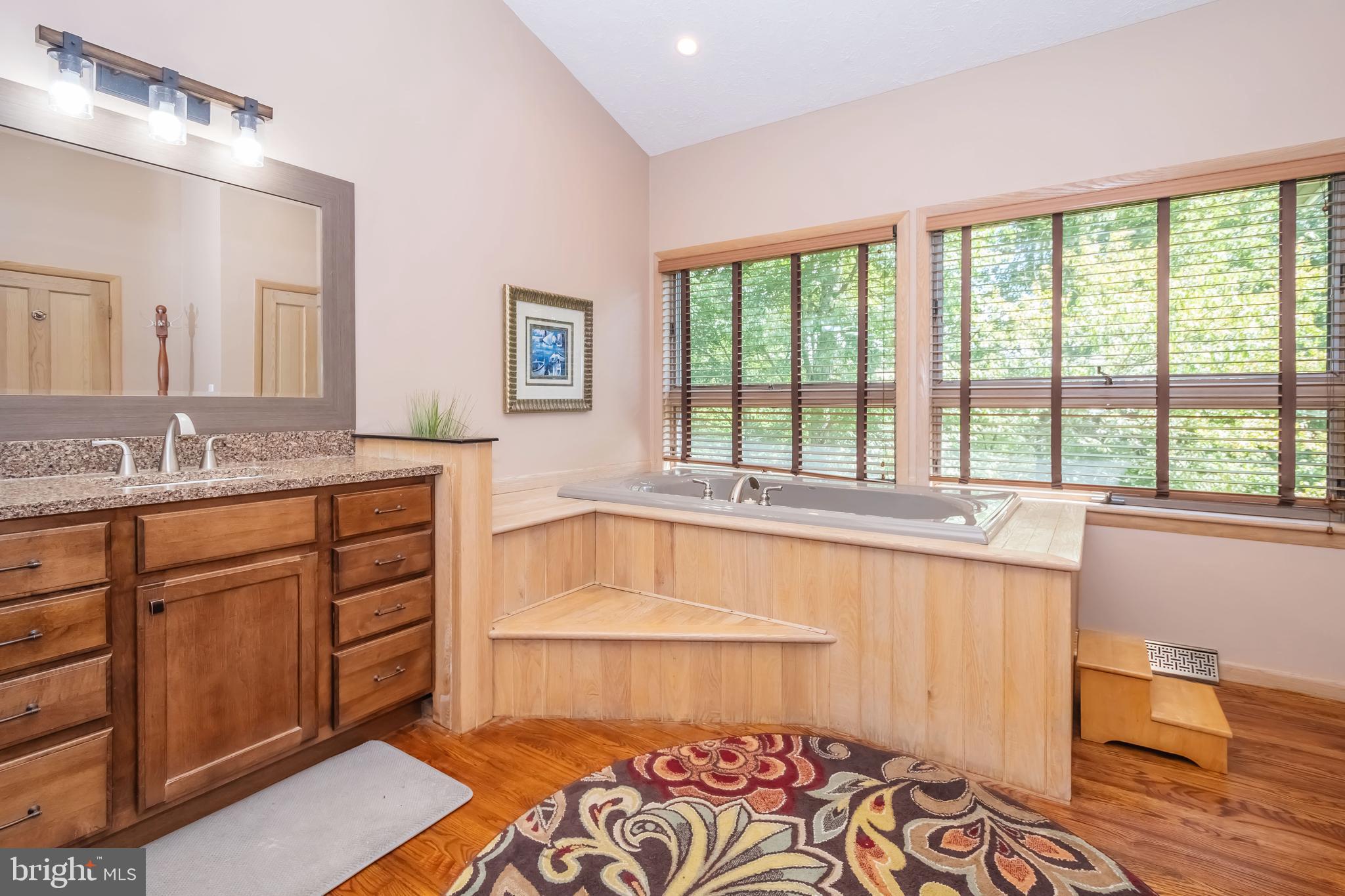 2345 Marsh Hill Road McHenry, MD 21541 - Photo 22 of 77 Master Bathroom