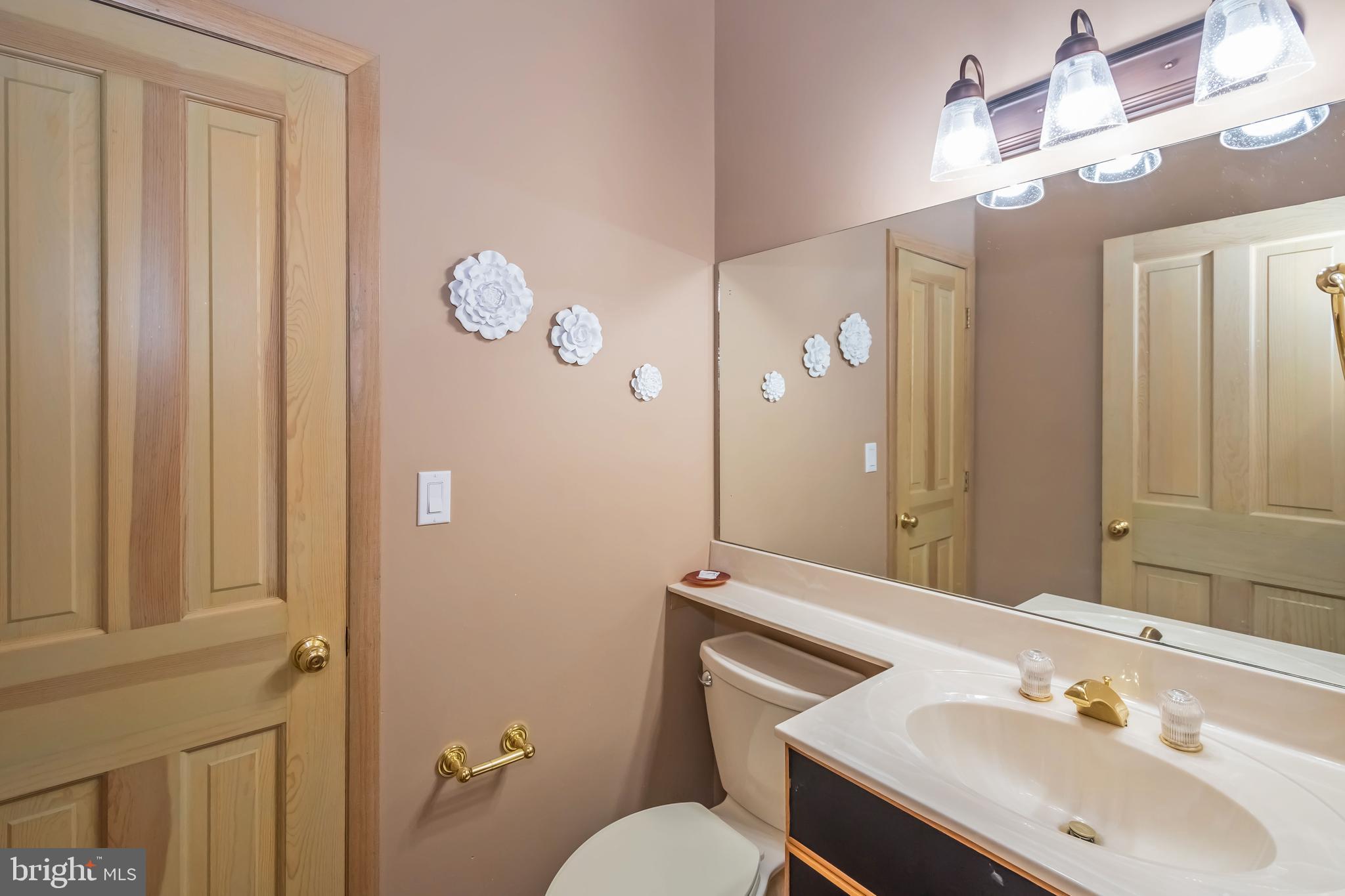 2345 Marsh Hill Road McHenry, MD 21541 - Photo 27 of 77 Main Level 2nd Bathroom