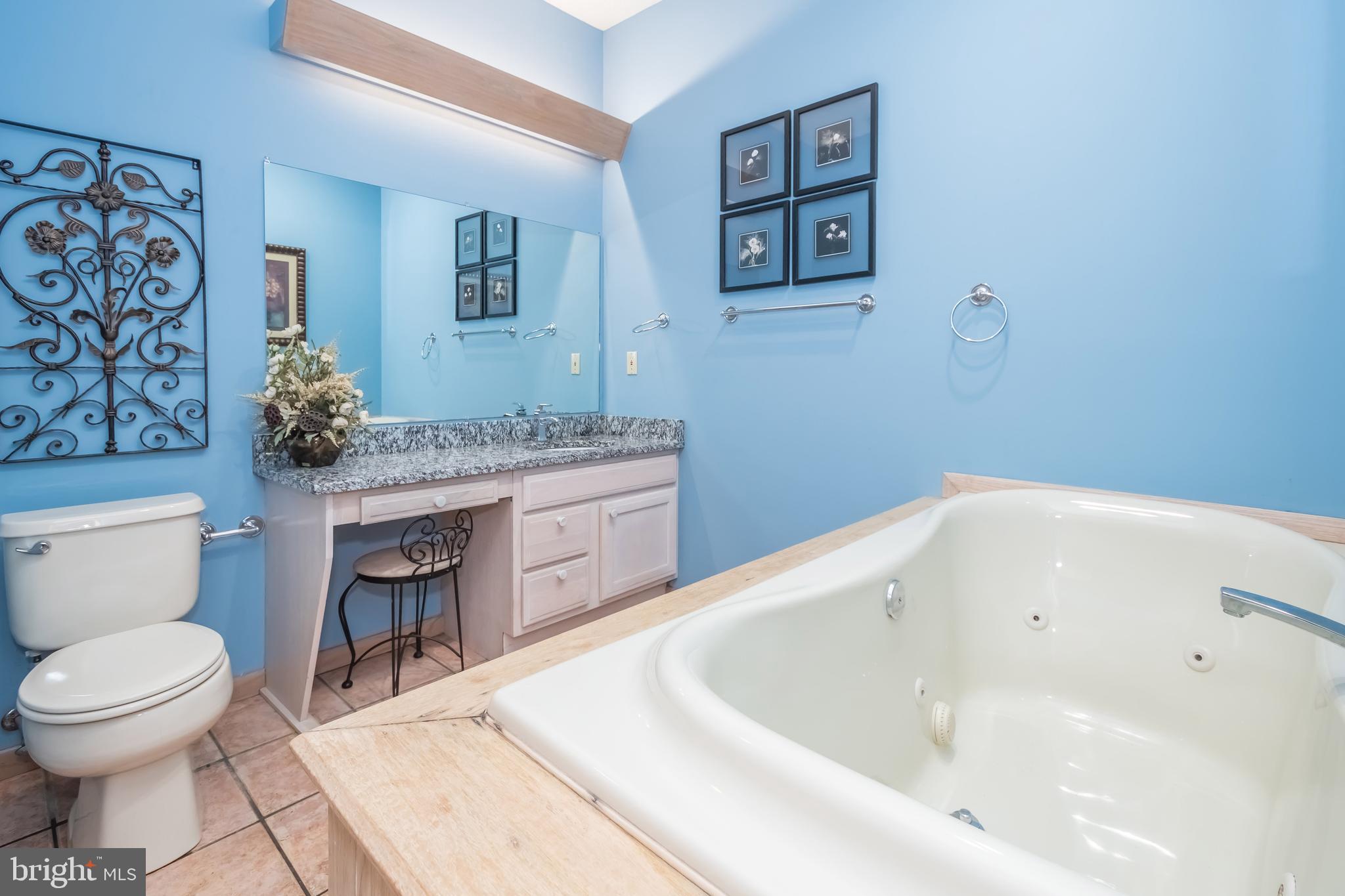 2345 Marsh Hill Road McHenry, MD 21541 - Photo 47 of 77 a bathroom with a sink a toilet and a bathtub