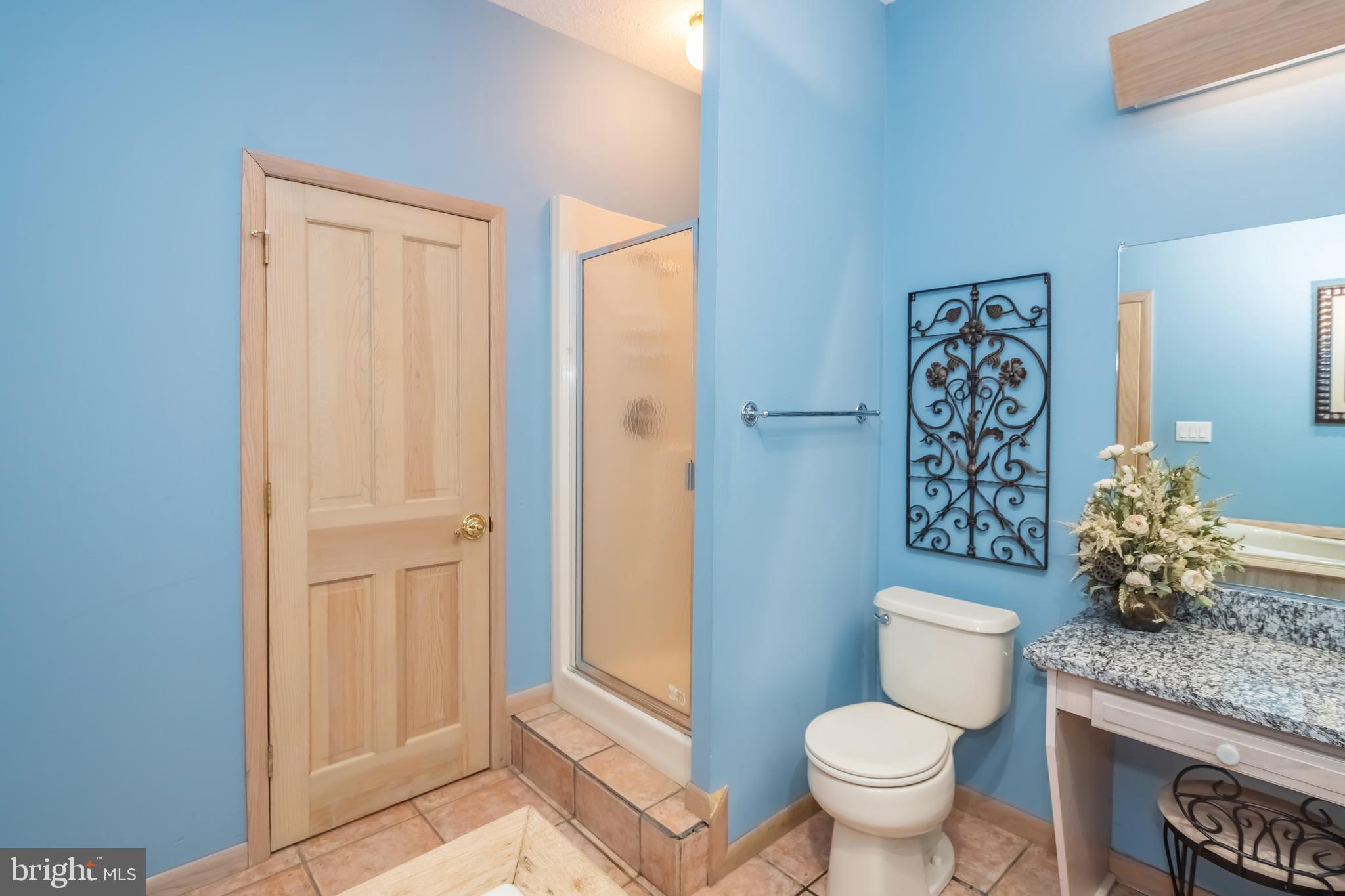 2345 Marsh Hill Road McHenry, MD 21541 - Photo 48 of 77 a bathroom with a granite countertop toilet and a sink