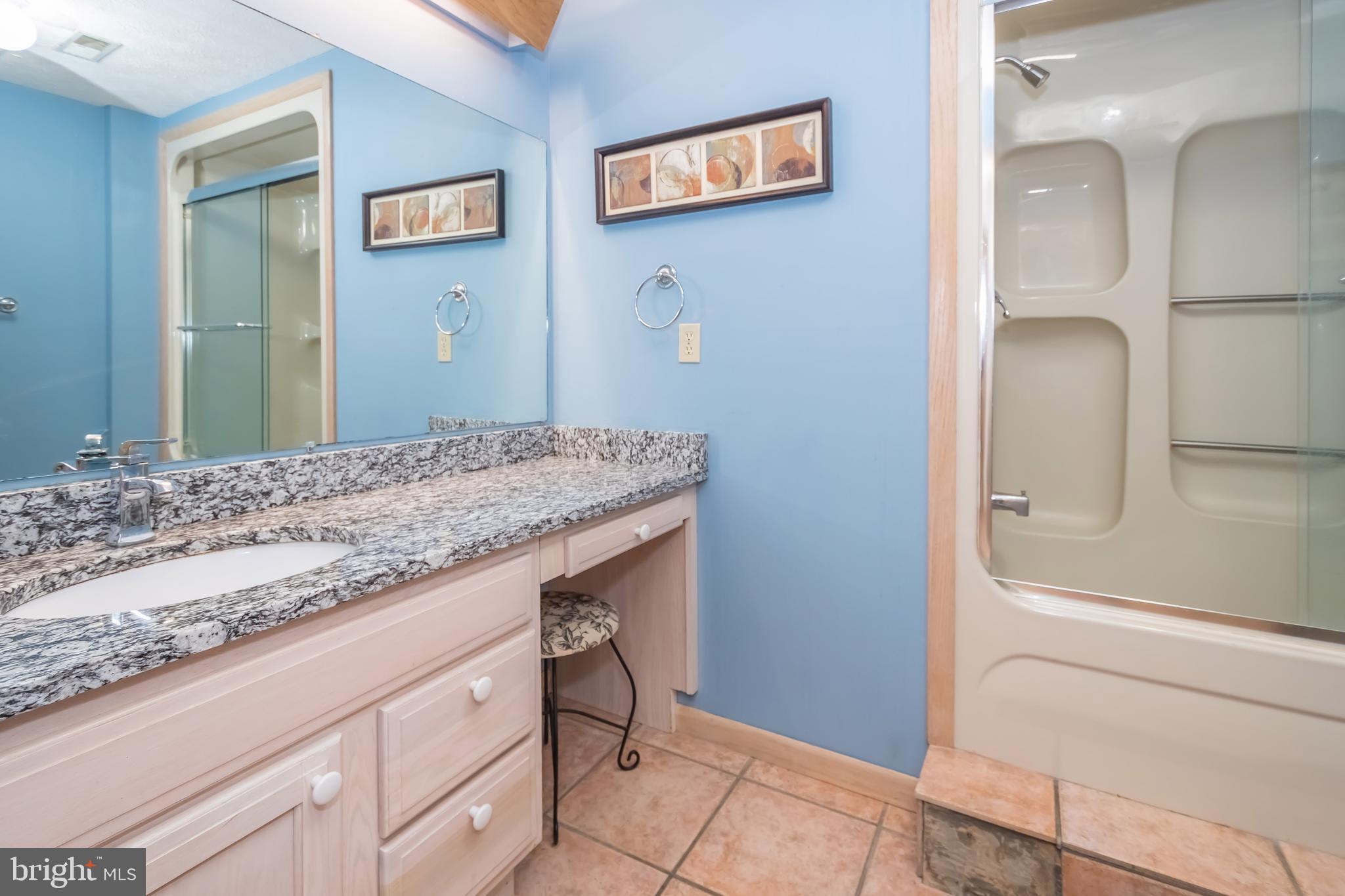 2345 Marsh Hill Road McHenry, MD 21541 - Photo 49 of 77 Lower-Level Bathroom #2
