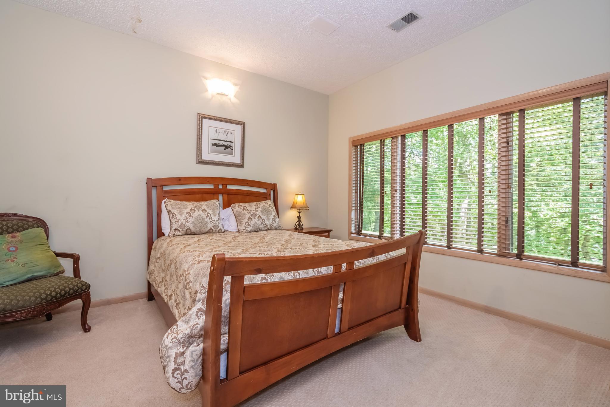 2345 Marsh Hill Road McHenry, MD 21541 - Photo 52 of 77 Lower-Level Bedroom #2