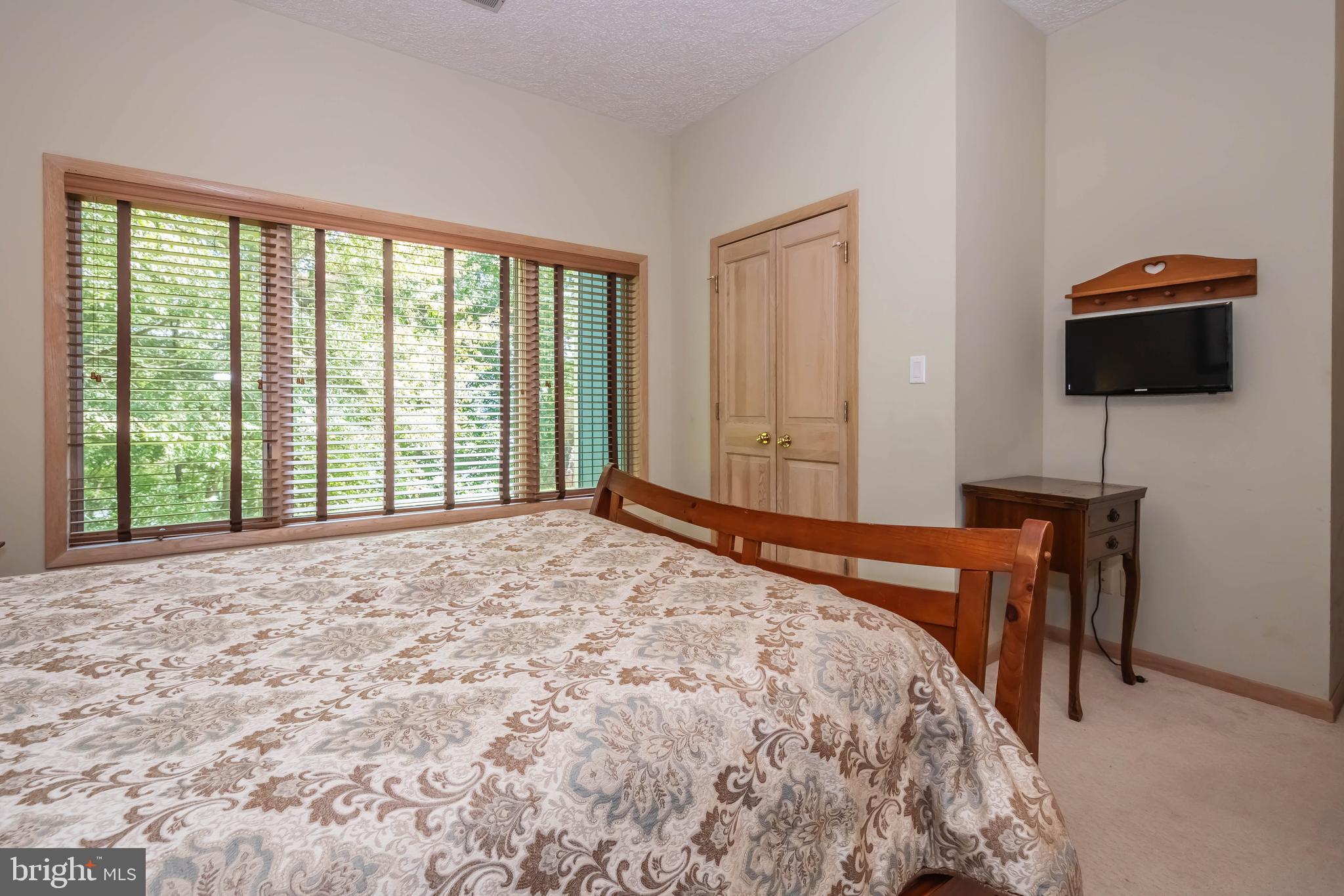 2345 Marsh Hill Road McHenry, MD 21541 - Photo 53 of 77 Lower-Level Bedroom #2