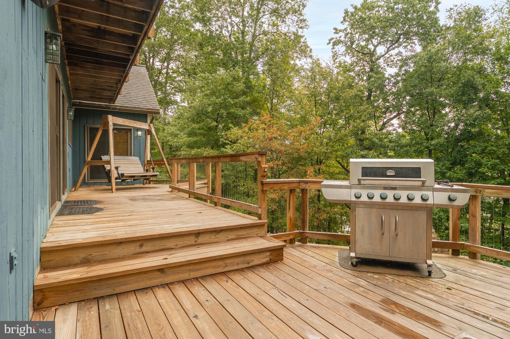 2345 Marsh Hill Road McHenry, MD 21541 - Photo 70 of 77