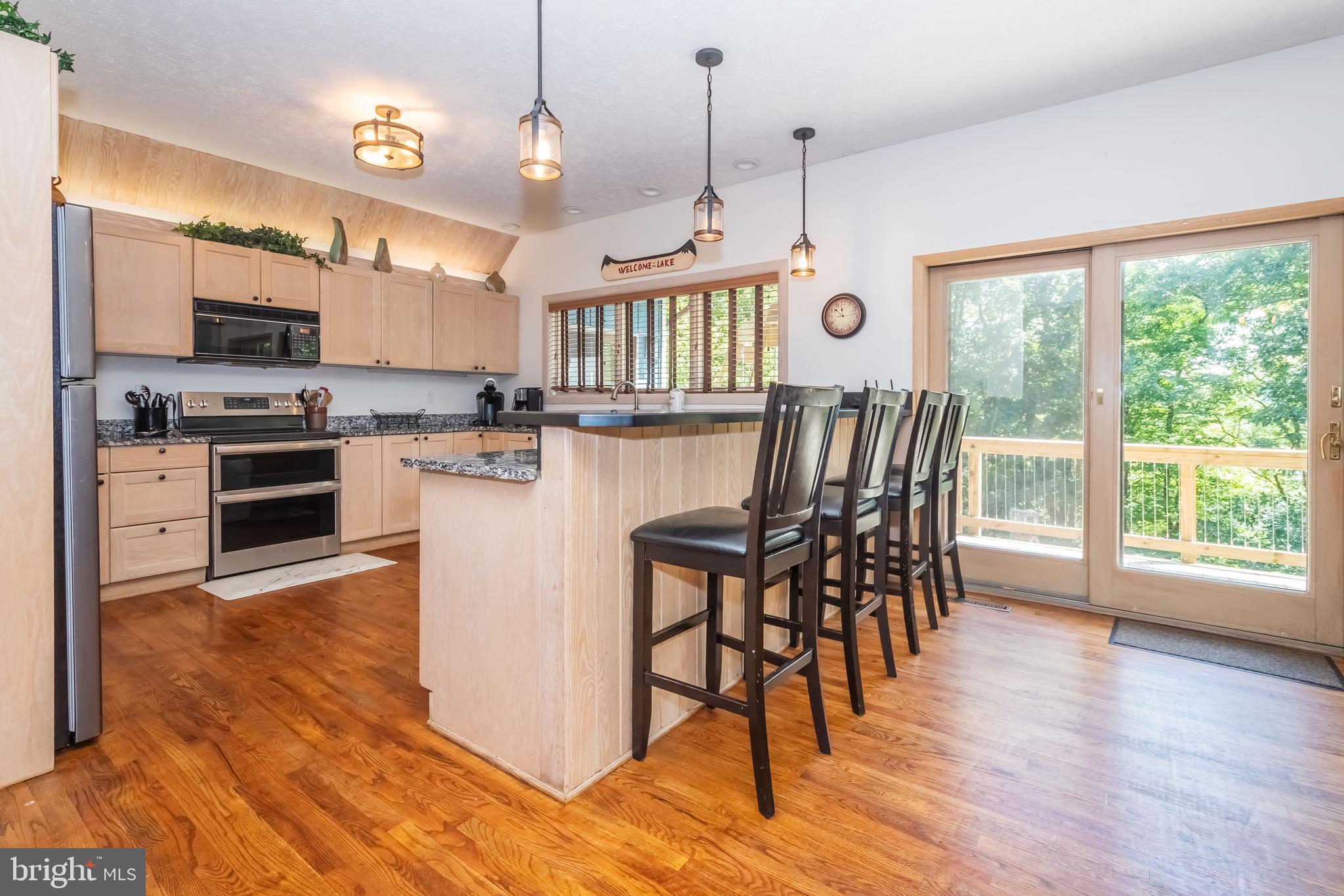 2345 Marsh Hill Road McHenry, MD 21541 - Photo 10 of 77 Main Level Kitchen