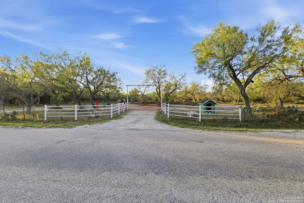 a view of road and trees