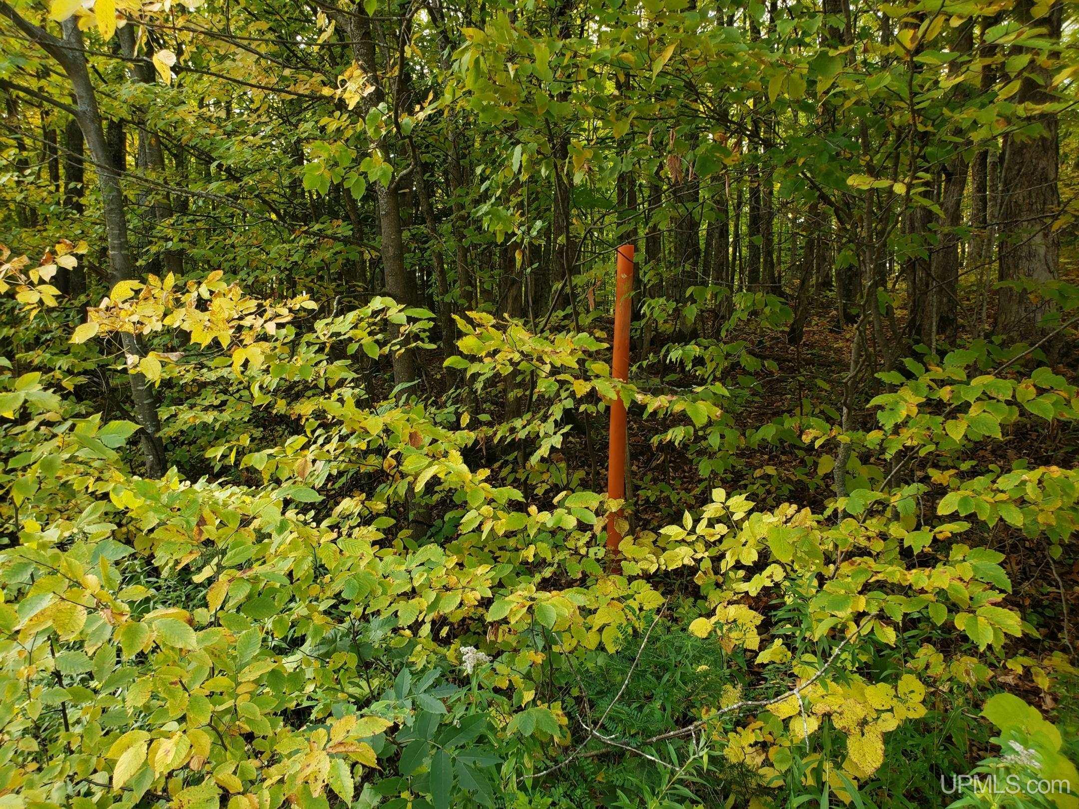 Tbd Lot 3 Tbd Road Bessemer, MI 49911 - Photo 7 of 7