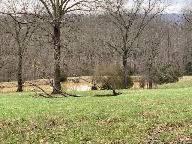 37 Horneker Road Eureka, MO 63069 - Photo 12 of 26 Gallery Image 12