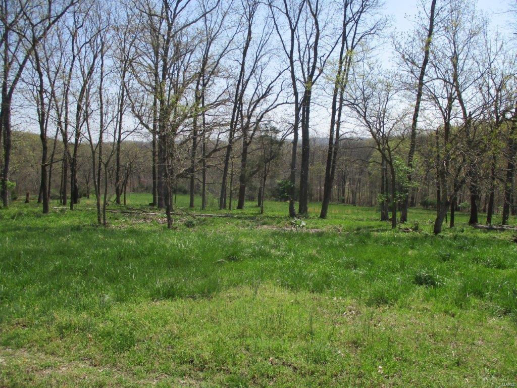 37 Horneker Road Eureka, MO 63069 - Photo 13 of 26 Gallery Image 13