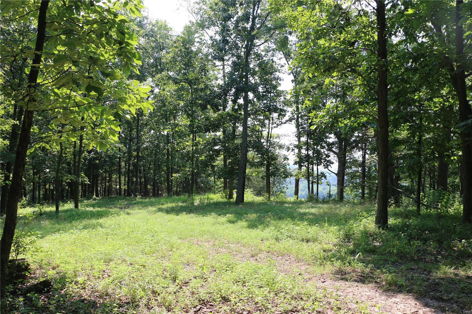 37 Horneker Road Eureka, MO 63069 - Photo 14 of 26 Gallery Image 14