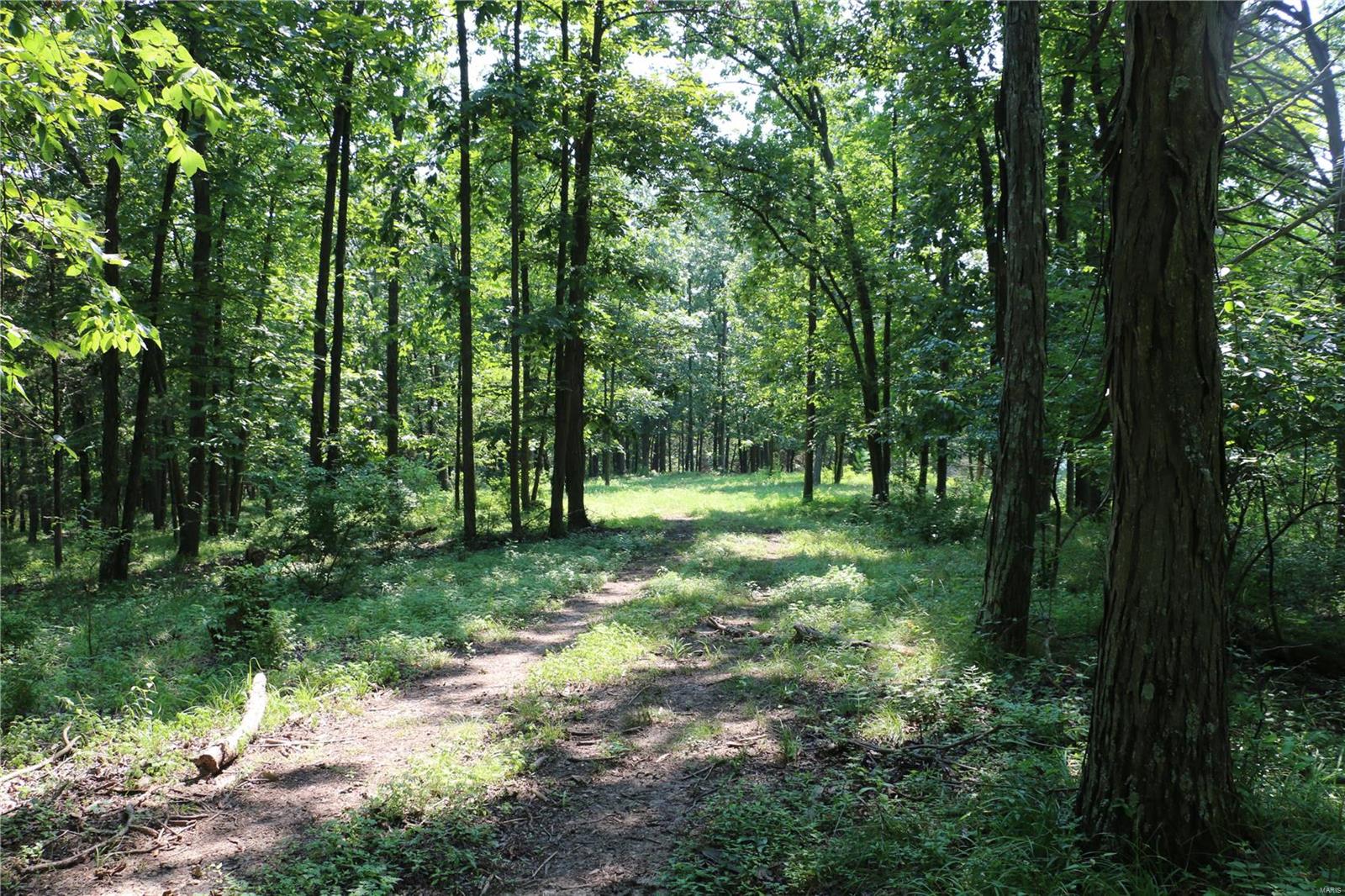 37 Horneker Road Eureka, MO 63069 - Photo 15 of 26 Gallery Image 15