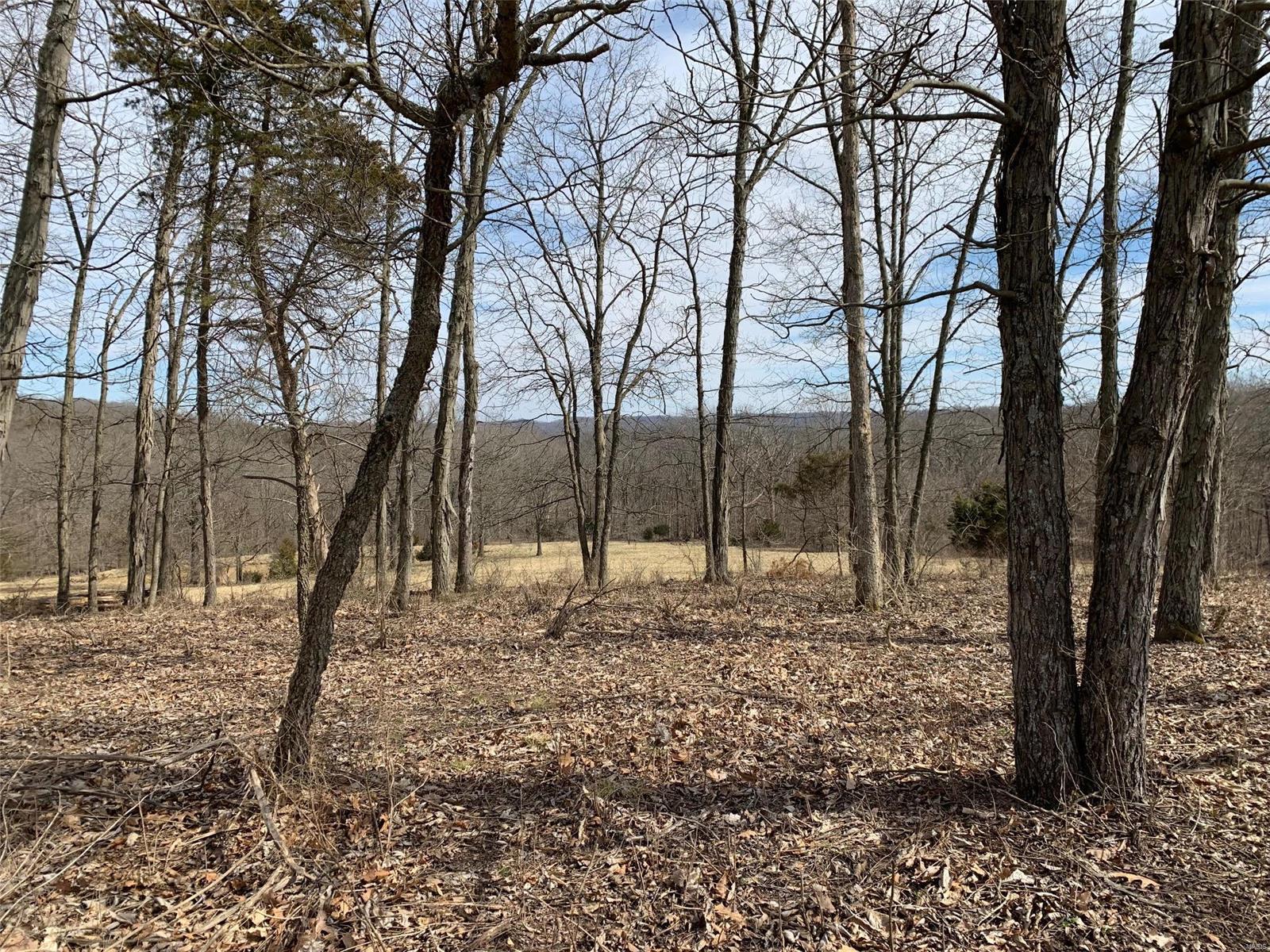 37 Horneker Road Eureka, MO 63069 - Photo 16 of 26 Gallery Image 16