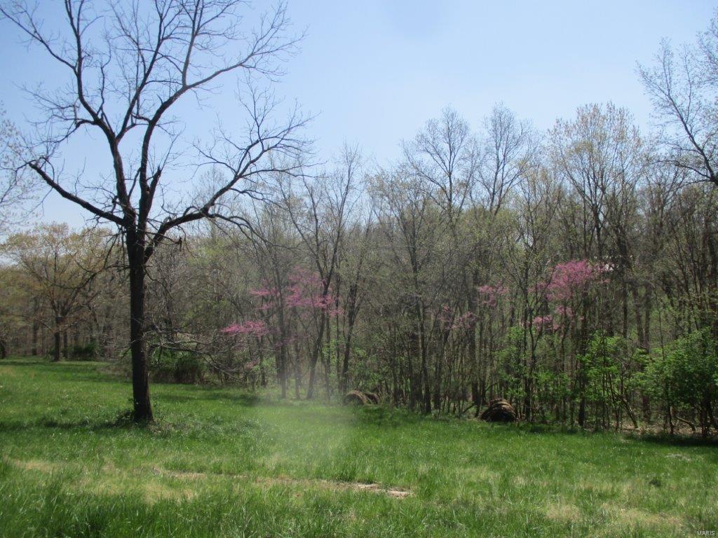 37 Horneker Road Eureka, MO 63069 - Photo 19 of 26 Gallery Image 19