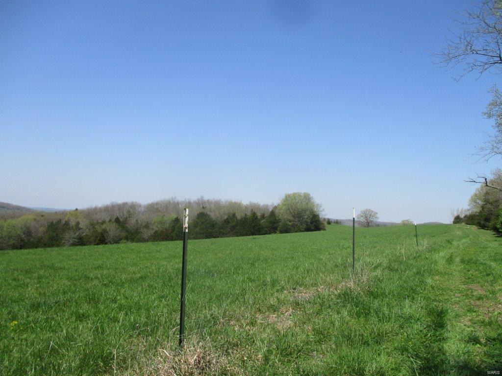 37 Horneker Road Eureka, MO 63069 - Photo 21 of 26 Gallery Image 21
