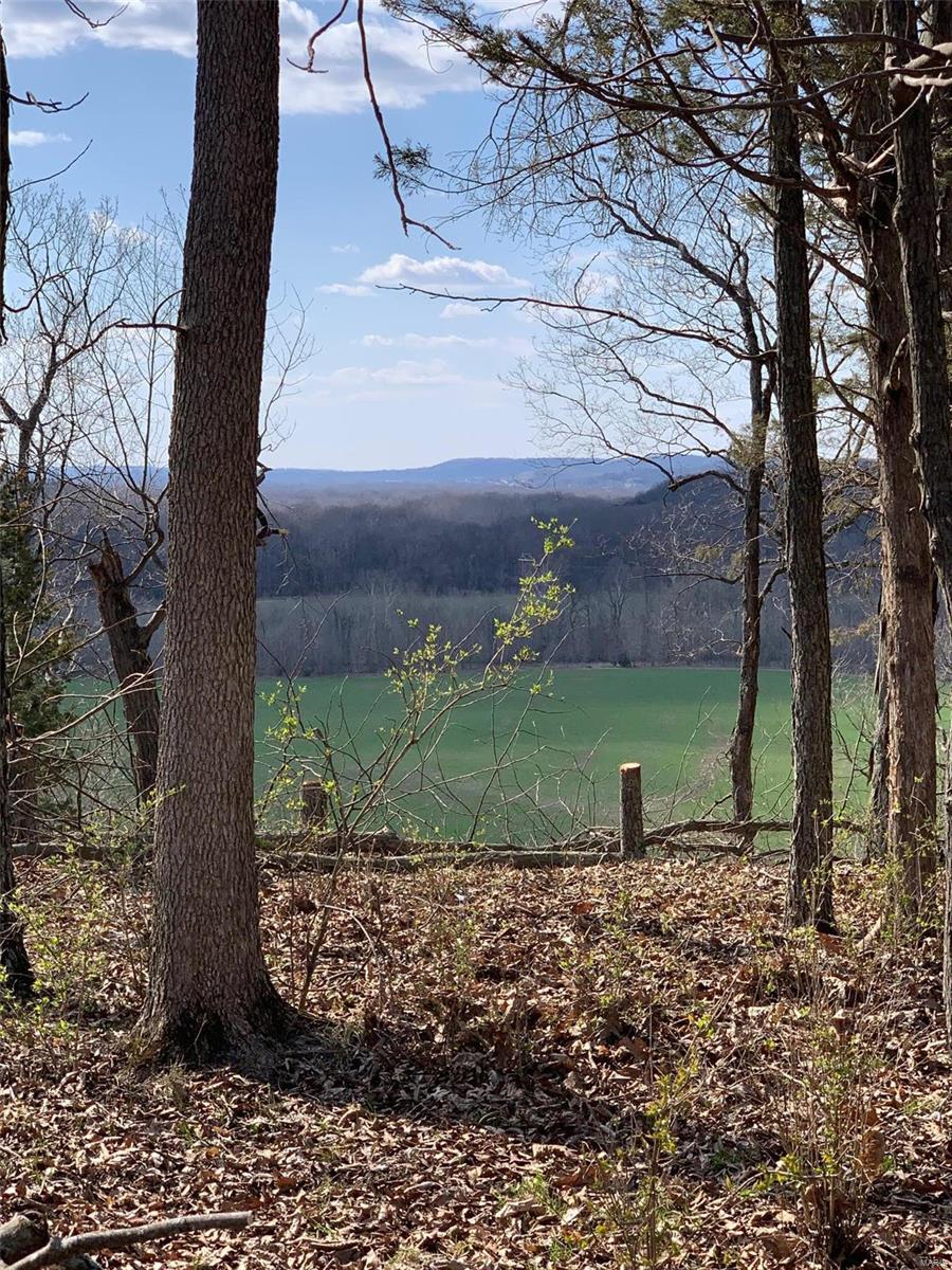 37 Horneker Road Eureka, MO 63069 - Photo 5 of 26 Gallery Image 5