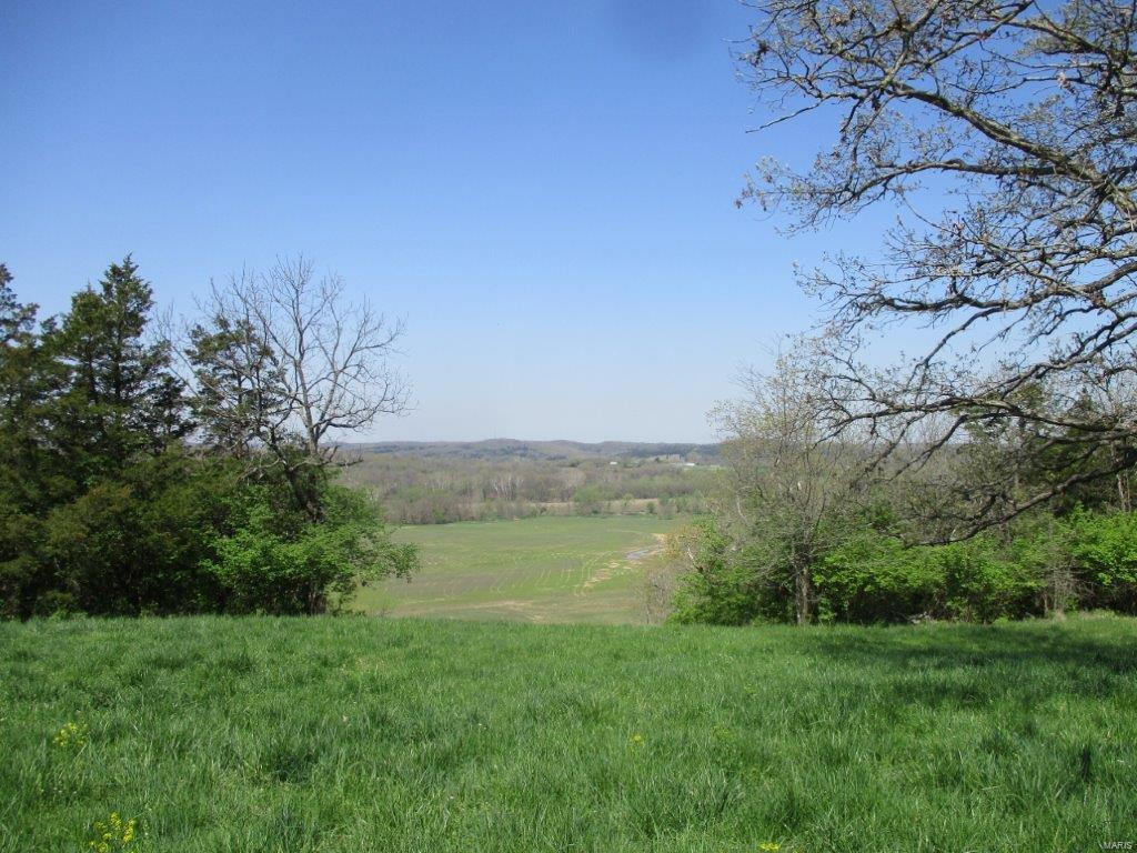 37 Horneker Road Eureka, MO 63069 - Photo 6 of 26 Gallery Image 6