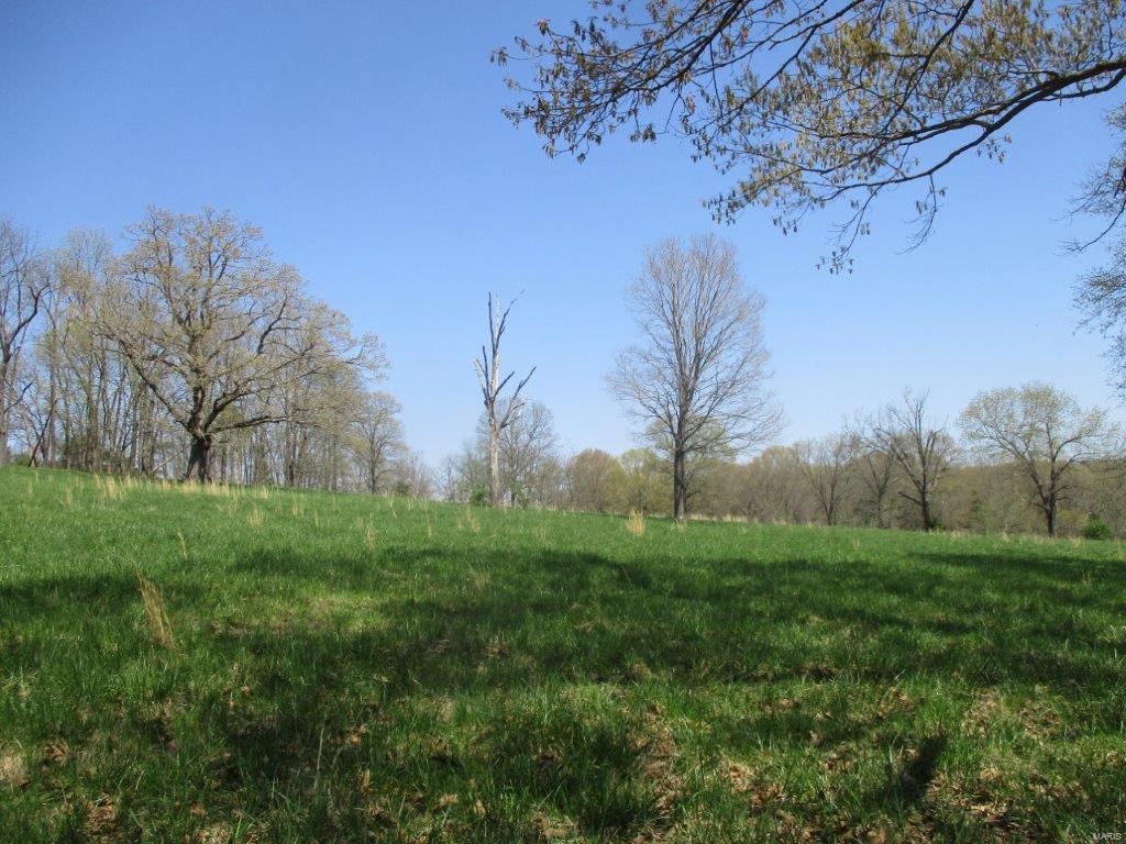 37 Horneker Road Eureka, MO 63069 - Photo 7 of 26 Gallery Image 7