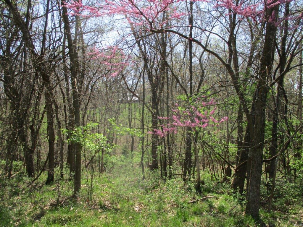 37 Horneker Road Eureka, MO 63069 - Photo 9 of 26 Gallery Image 9