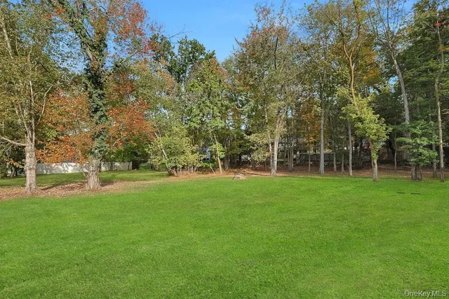 a view of a park with trees and grass