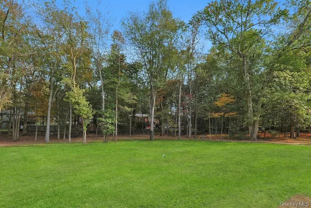 a view of a park with large trees