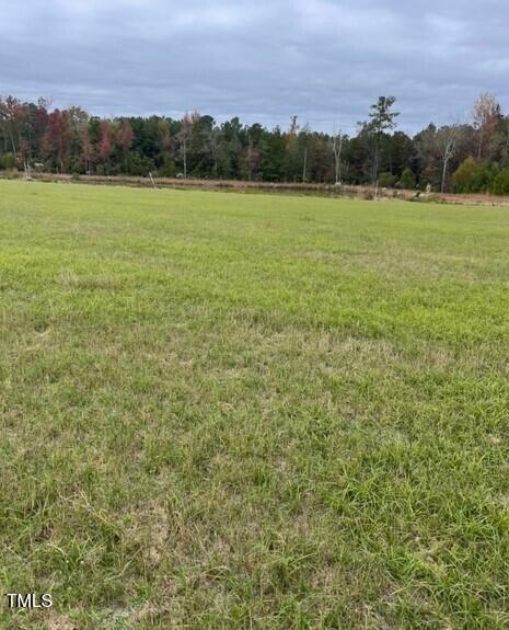 0 Bethel Baptist Road Spring Lake, NC 28390 - Photo 2 of 3
