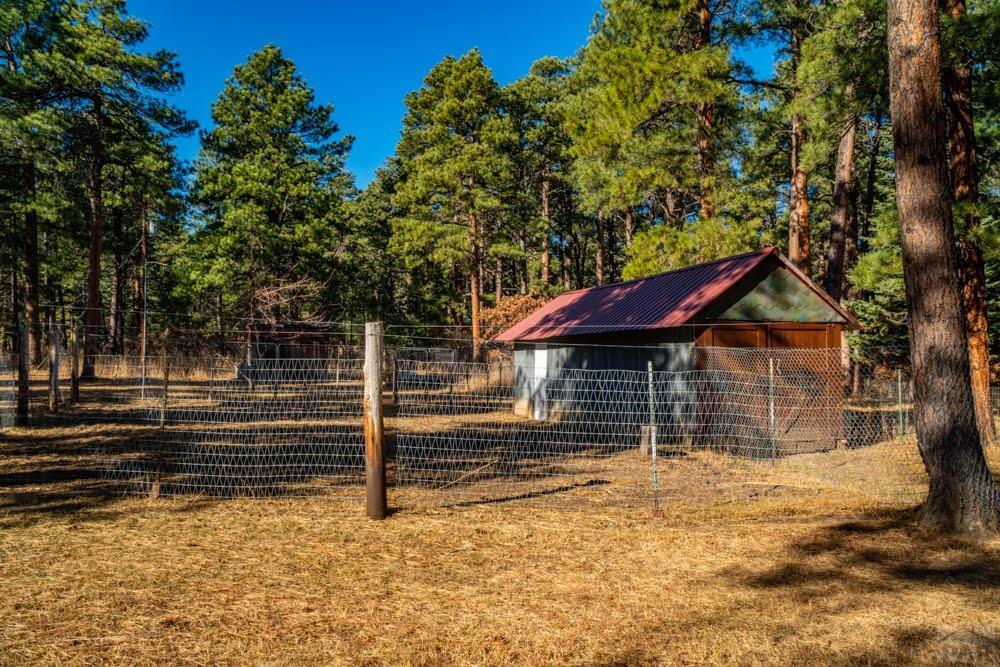 8281 Green Tower Lane Rye, CO 81069 - Photo 6 of 35