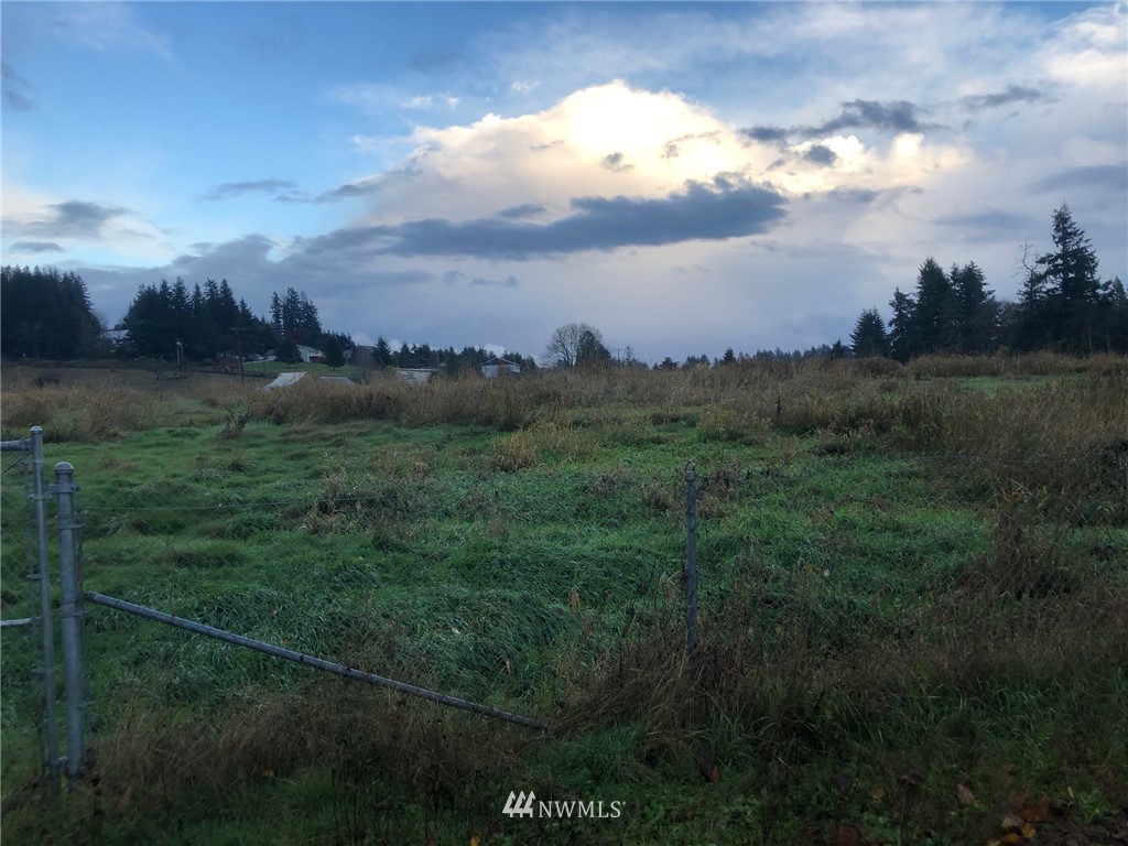 0 Zenkner Valley Road Centralia, WA 98531 - Photo 1 of 1 Gallery Image 1