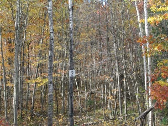 Lot 2 Sutton Road Minocqua, WI 54548 - Photo 5 of 5 Gallery Image 5