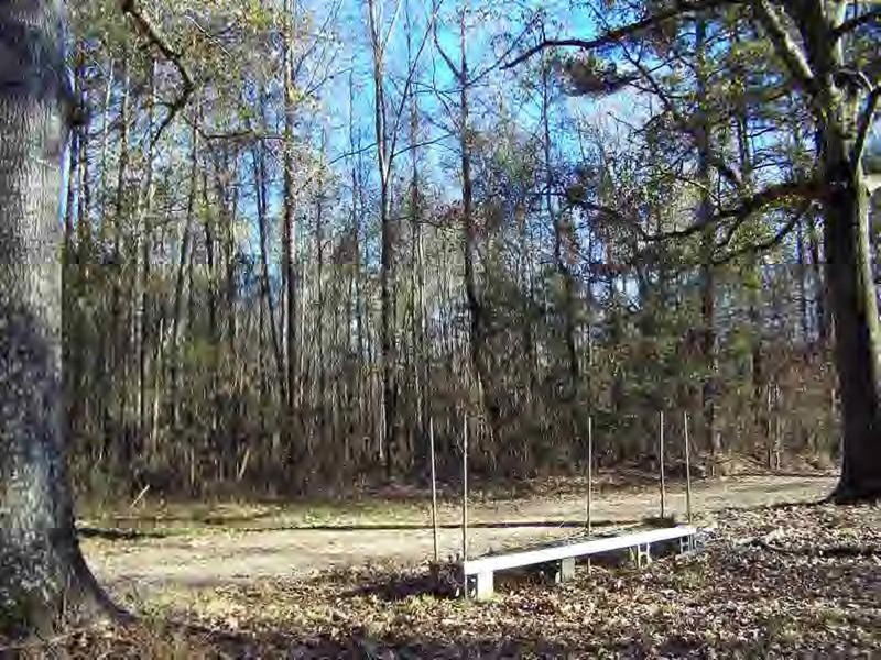 503 Walker Loop Road Ashland, LA 71002 - Photo 13 of 14 Gallery Image 13